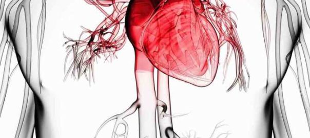 Love Your Heart – Take Care of Your Teeth