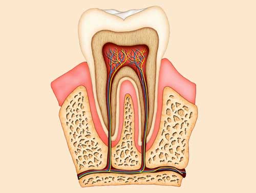 Root Canal Treatment RCT near me